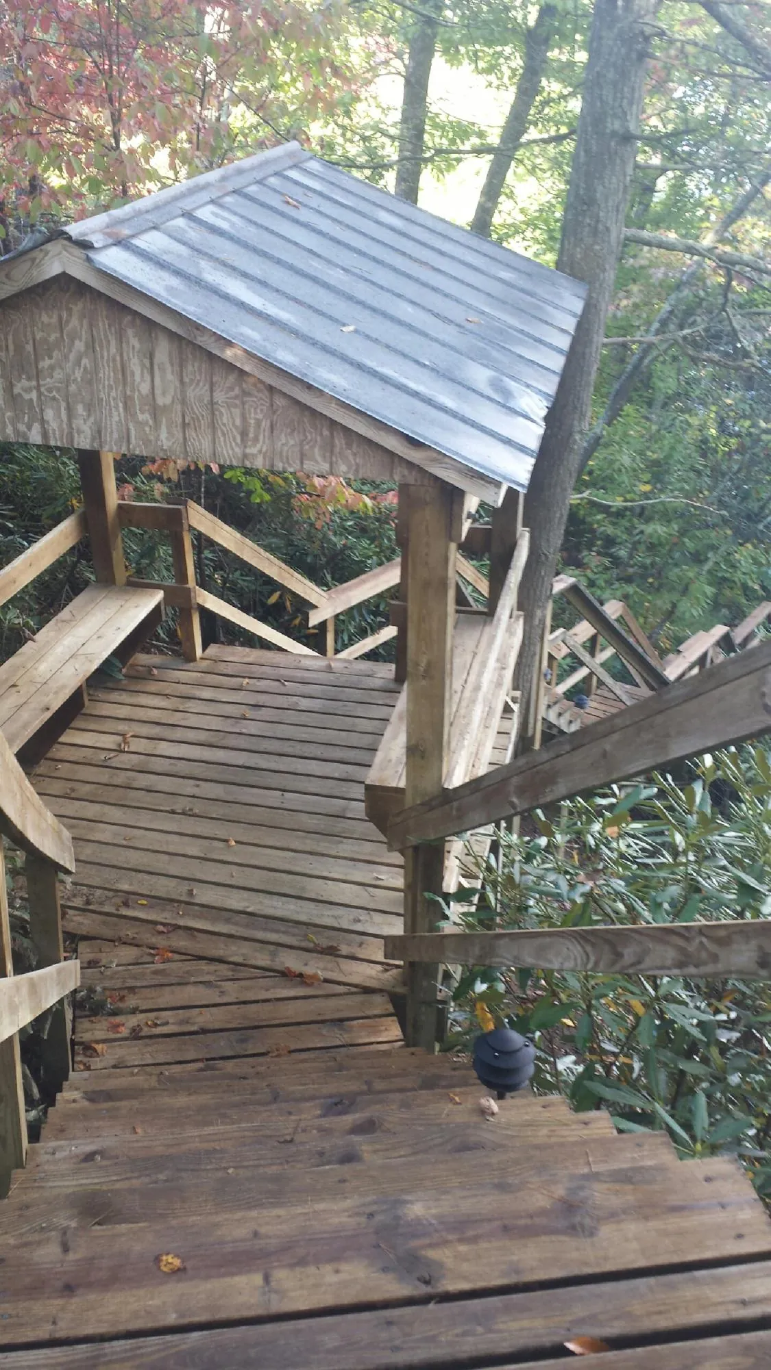 Metal roofed shelter over wooden steps on a wooded walkway — Skylight Repair & Installation work by our crew in Bulverde