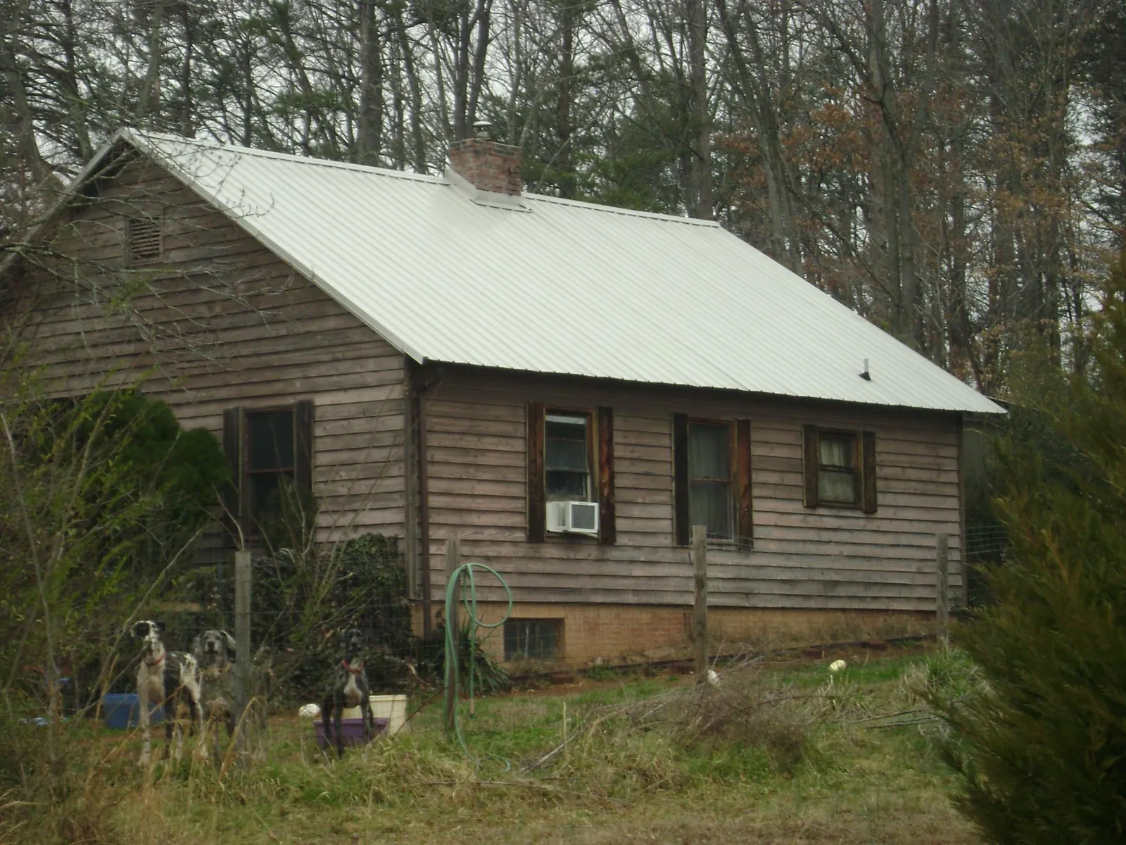White metal roof on an old wood sided farmhouse, from a Asphalt Shingle Roof Repair job in Bulverde